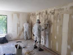 Environmental Consulting for Mold Prevention in Experiment, GA